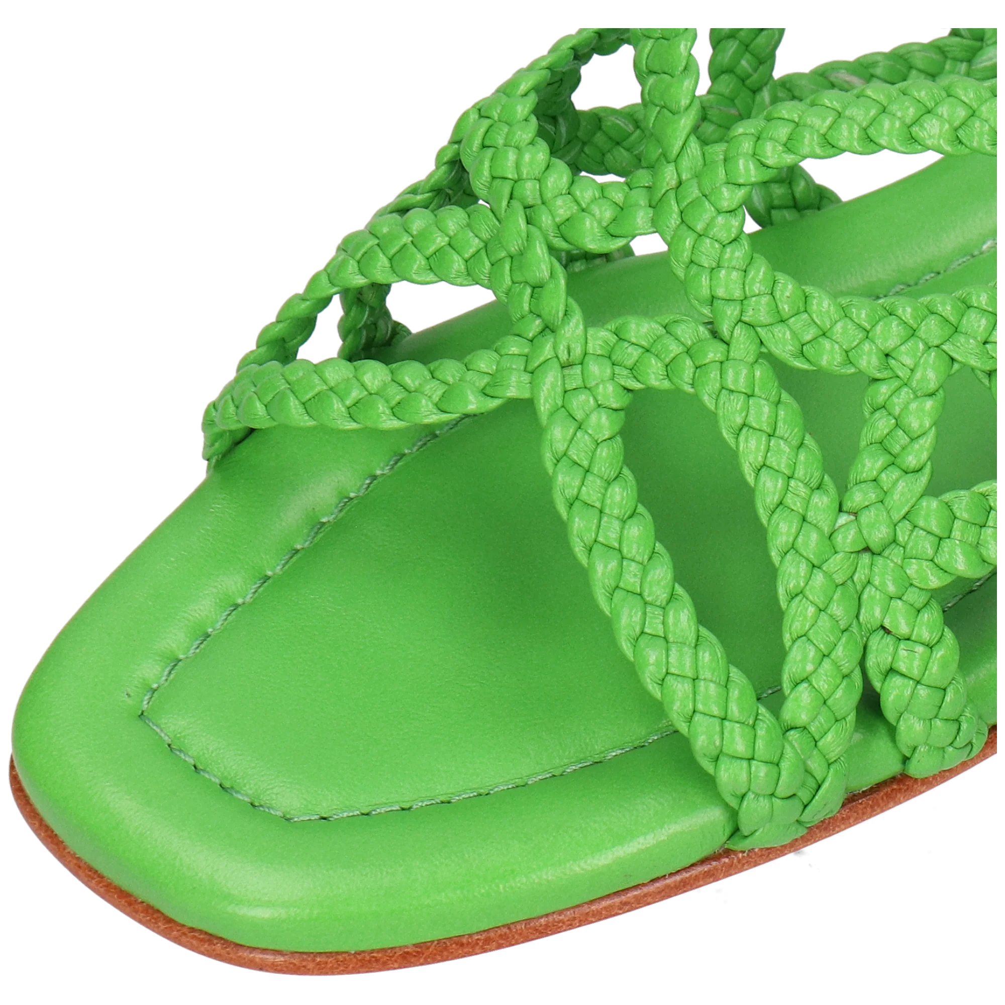 Elodie 64 – Bild 5