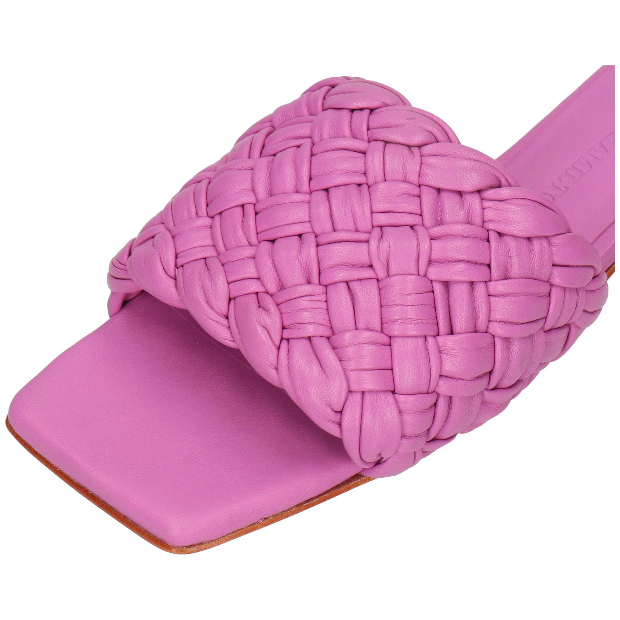 Eglantine 1 – Bild 5