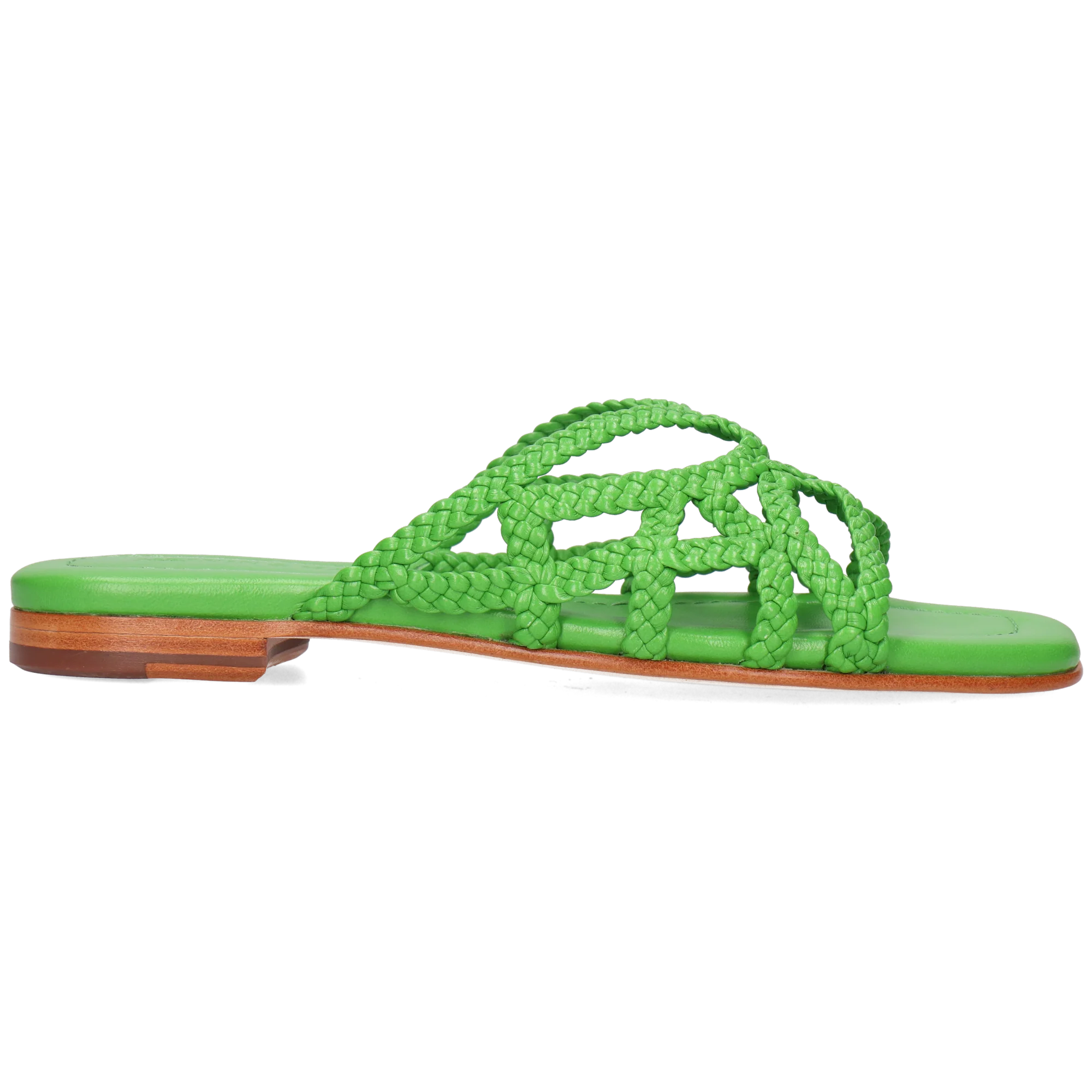 Elodie 64 – Bild 7