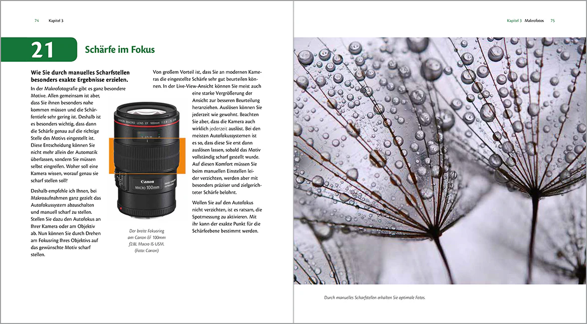 Mit Spaß besser Fotografieren – Bild 3