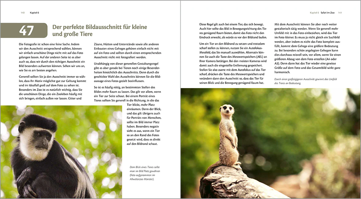 Mit Spaß besser Fotografieren – Bild 5