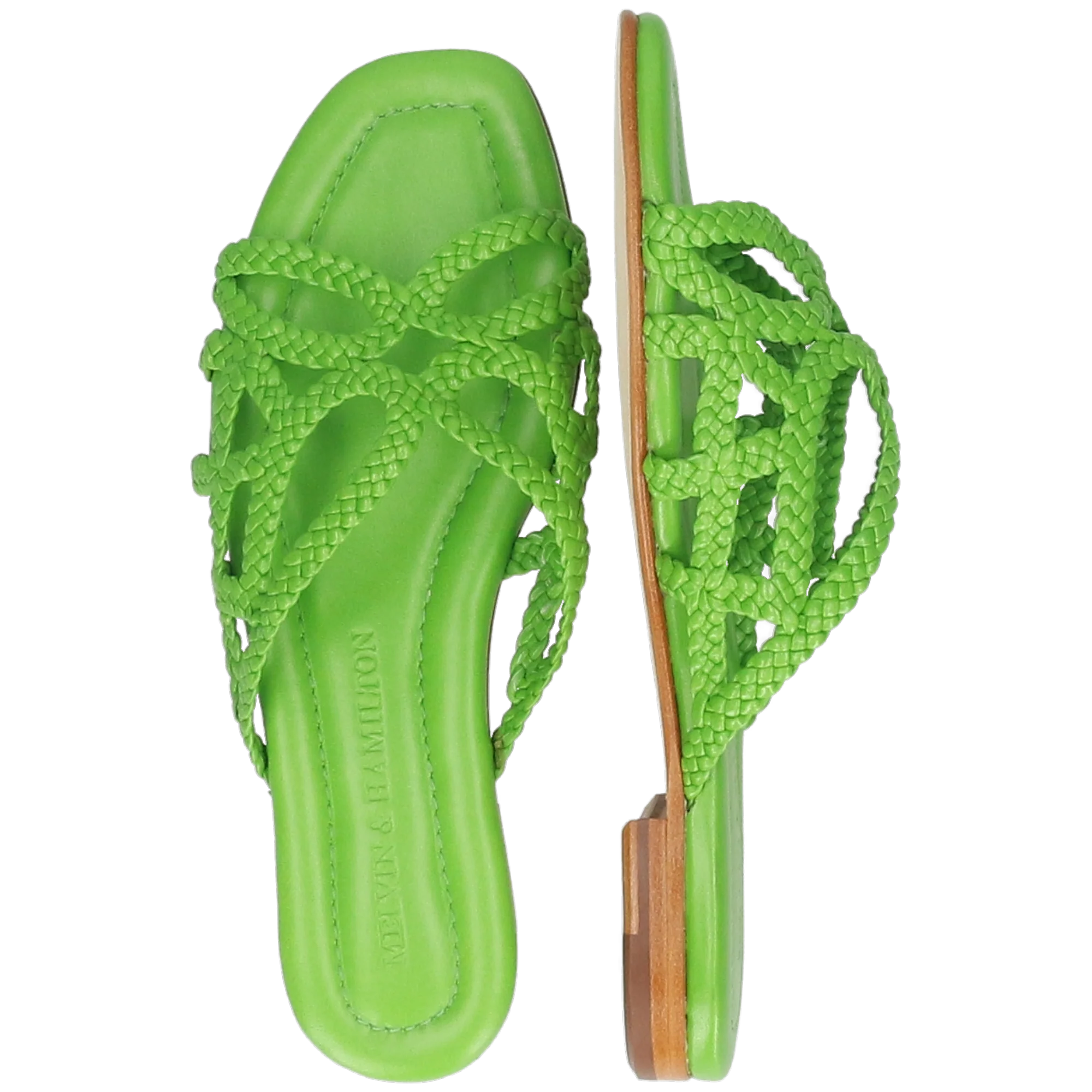 Elodie 64 – Bild 6