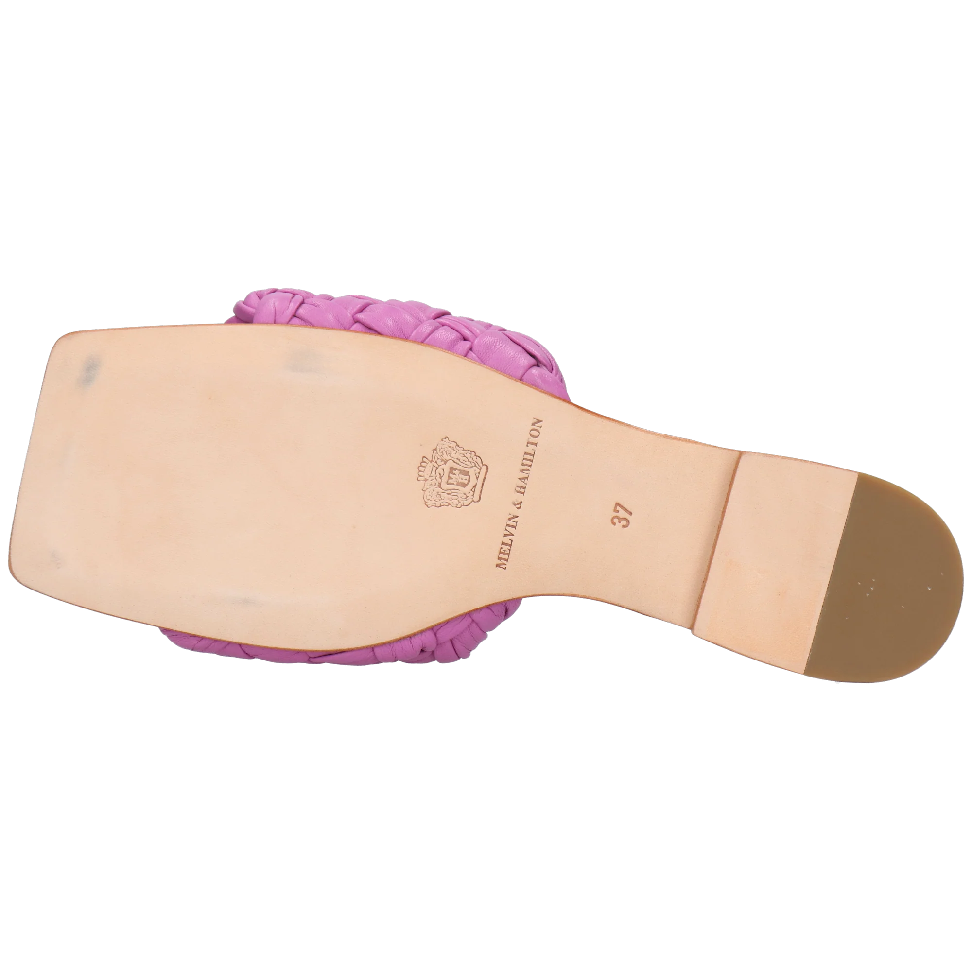 Eglantine 1 – Bild 4