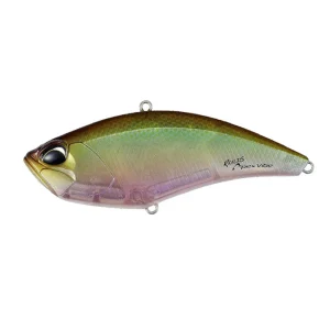 Realis Apex Vibe 100