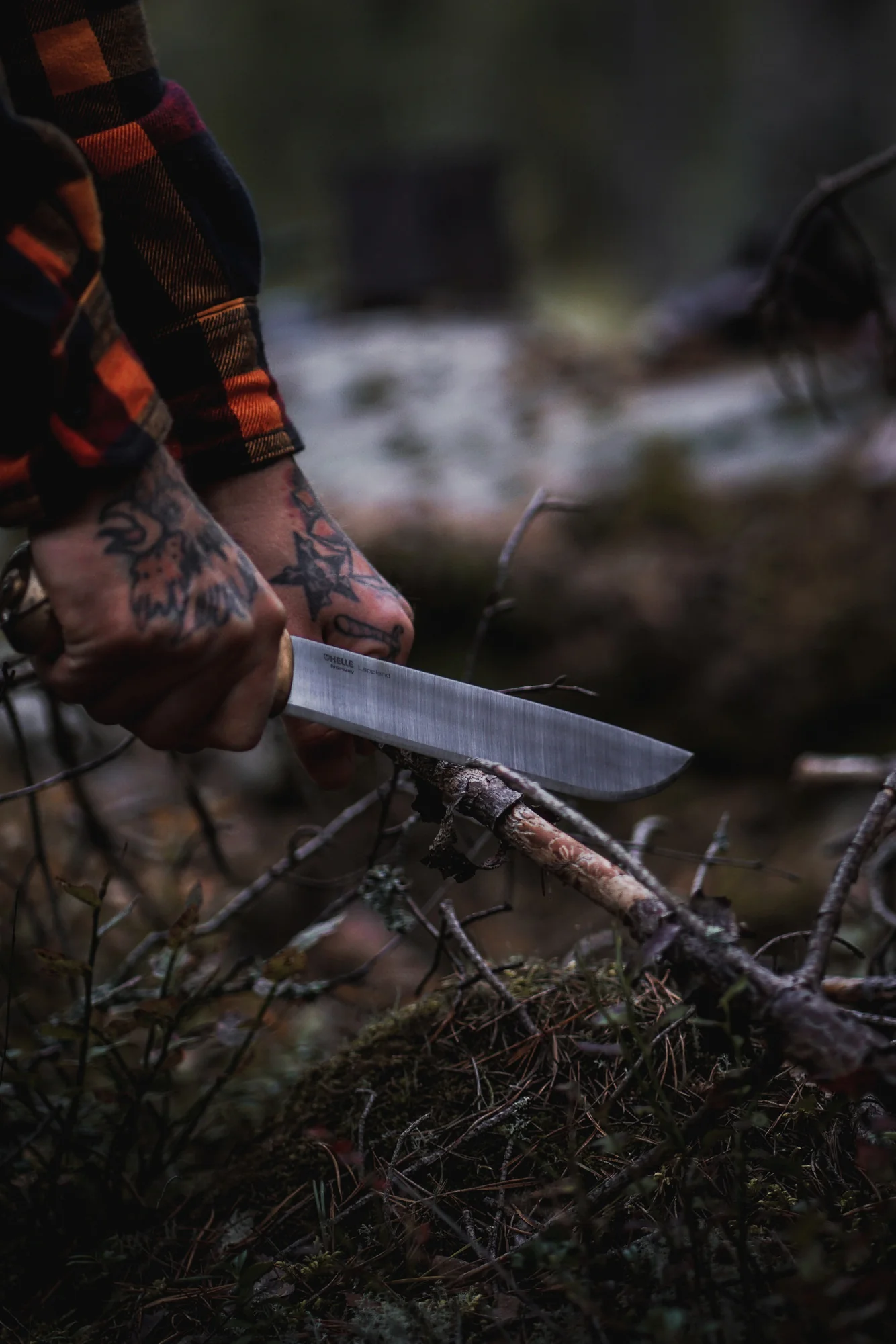 Helle Lappland – Bild 6