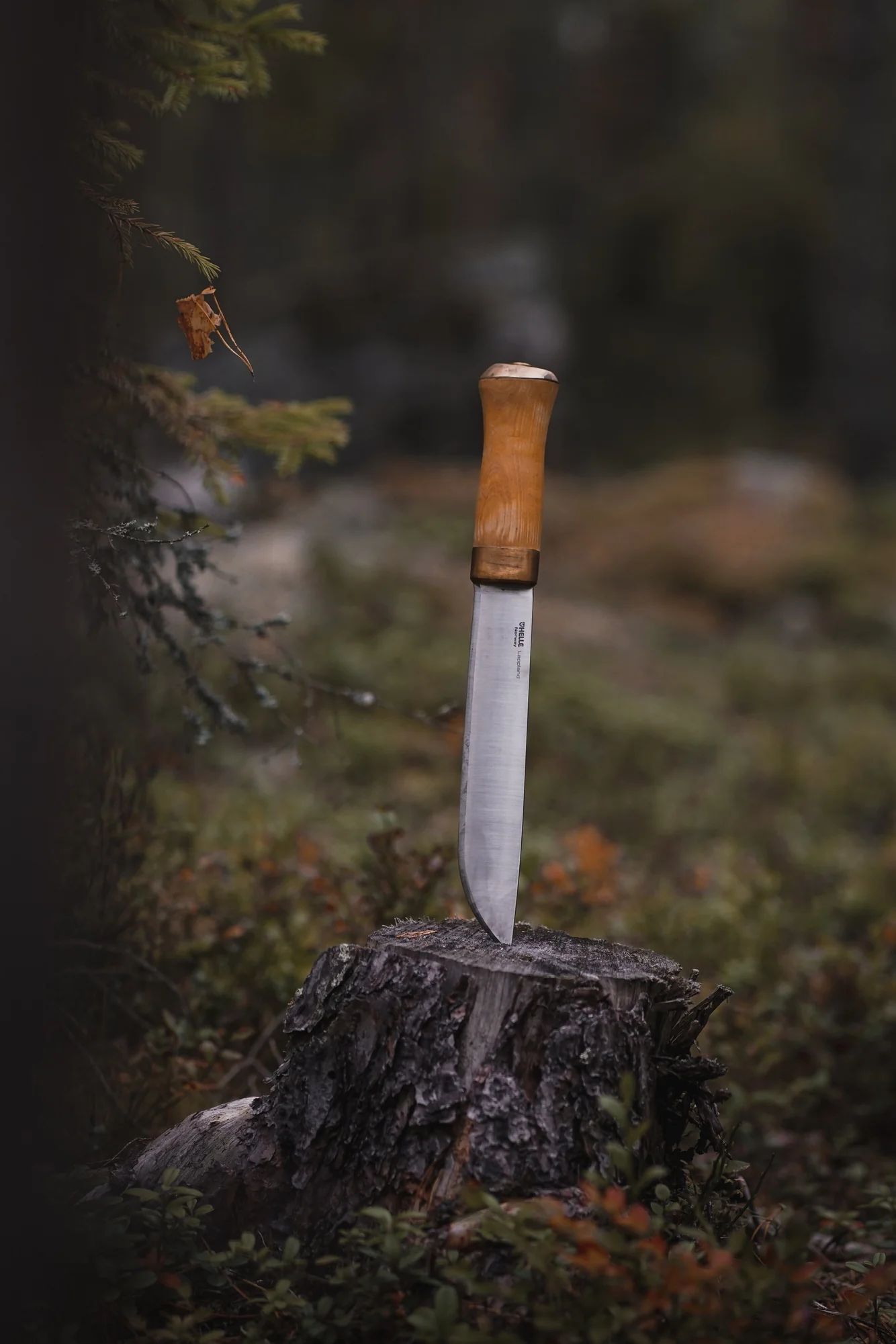 Helle Lappland – Bild 7