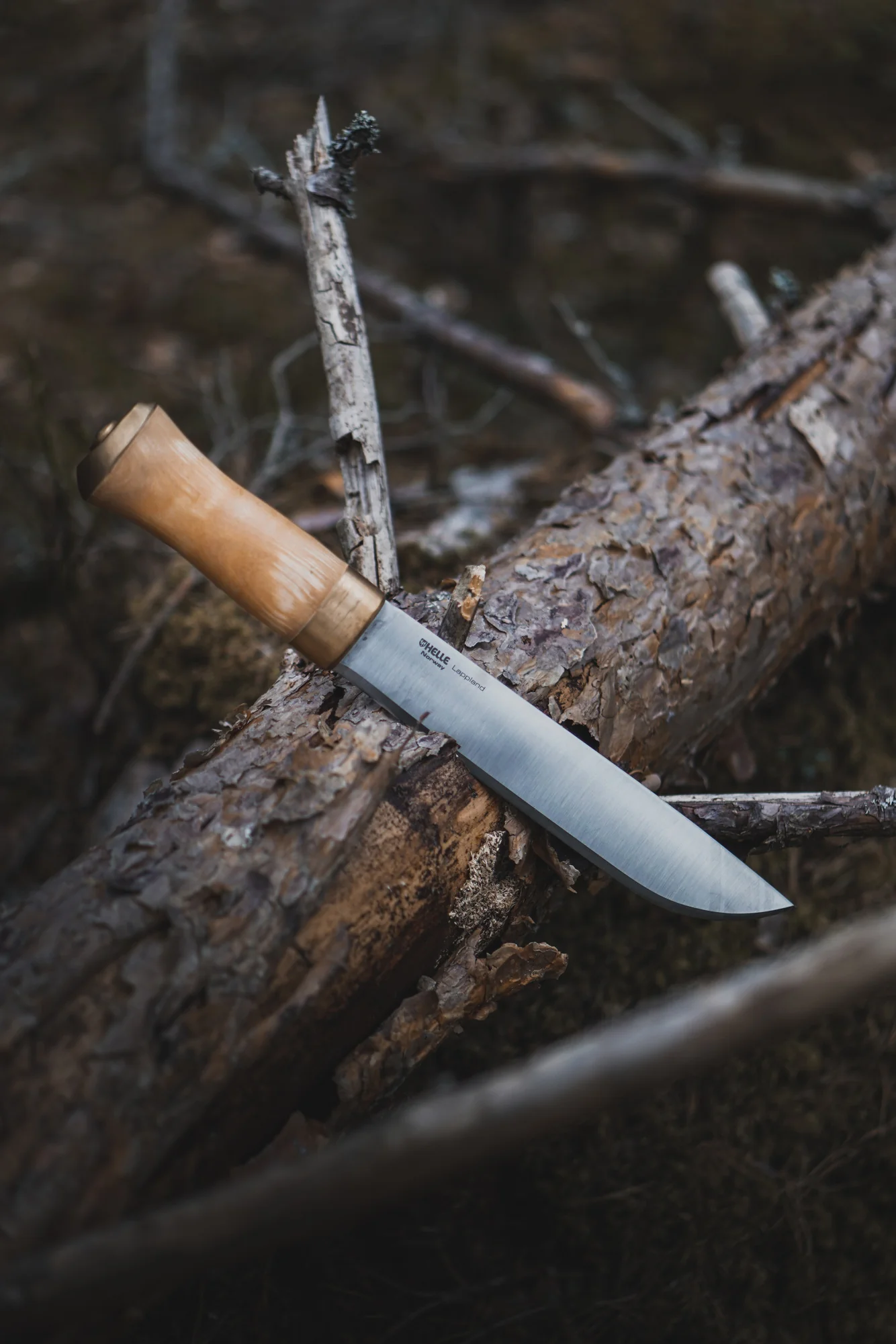 Helle Lappland – Bild 8