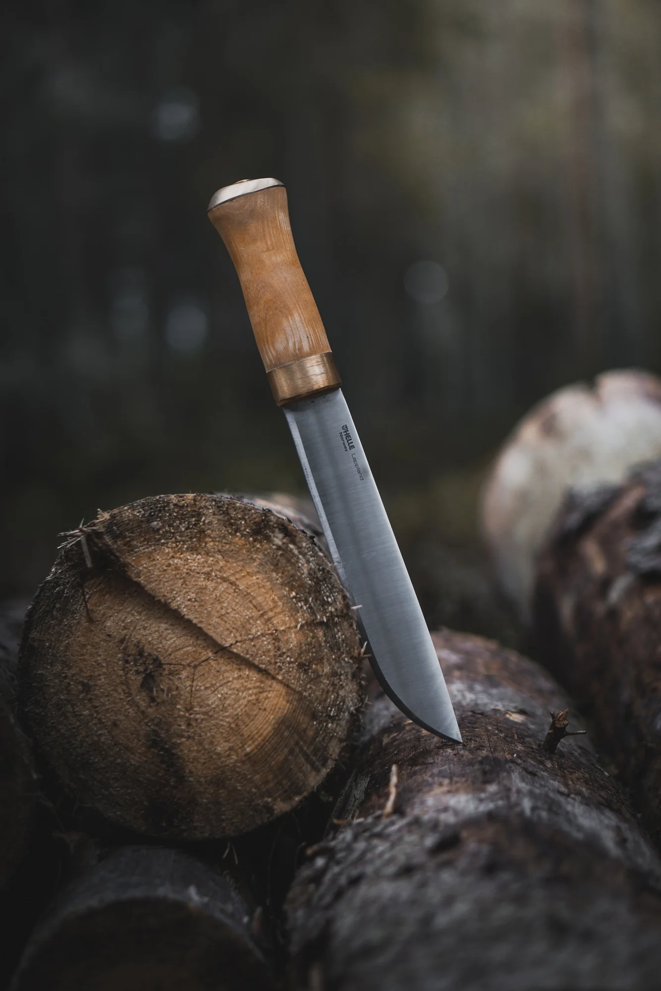 Helle Lappland – Bild 9