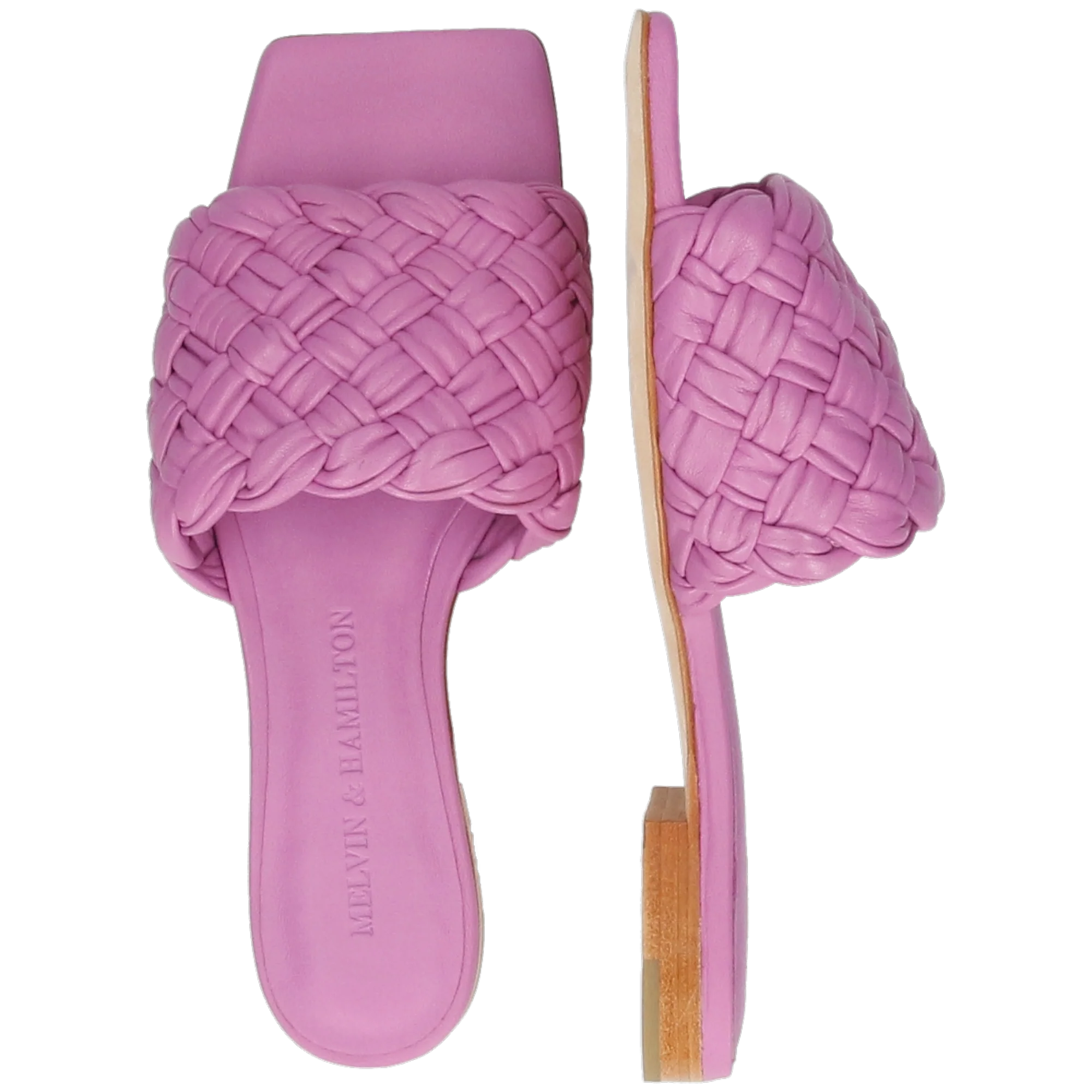 Eglantine 1 – Bild 6