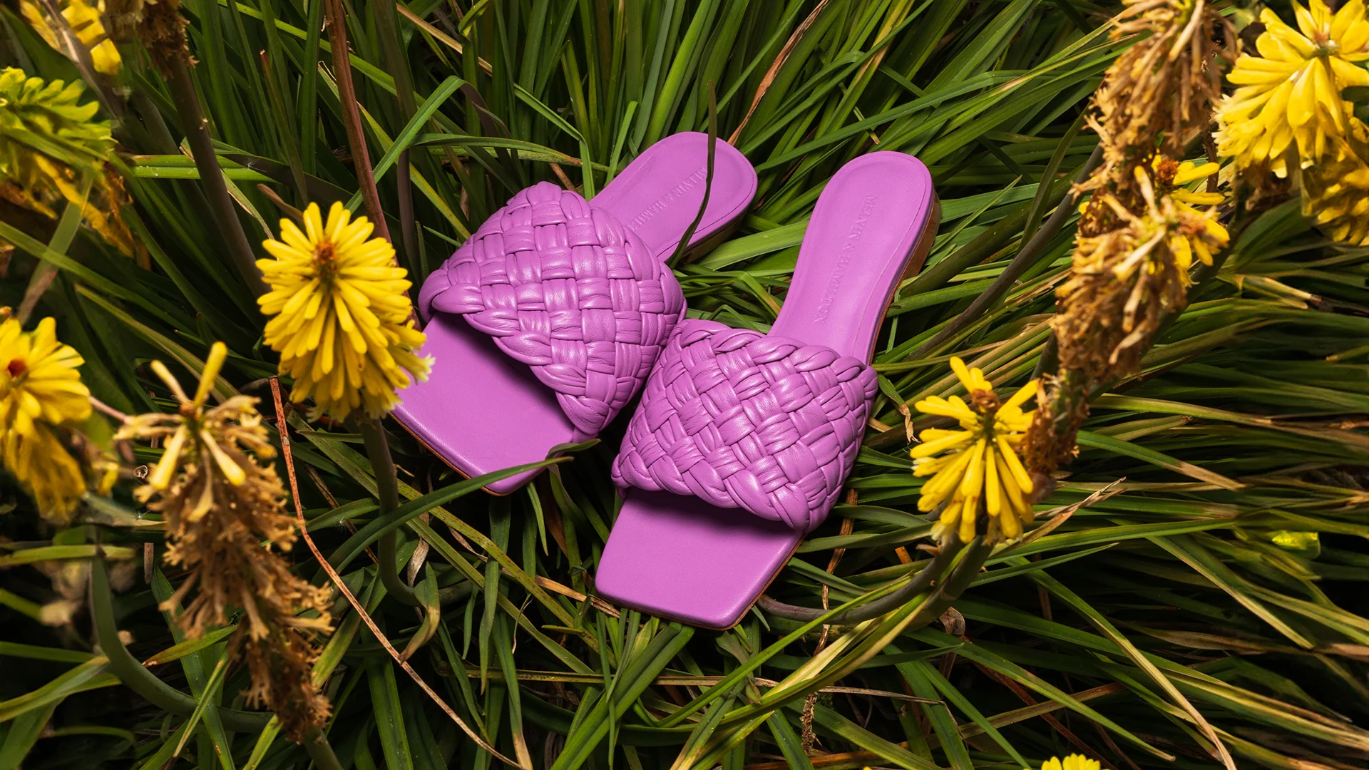 Eglantine 1 – Bild 8