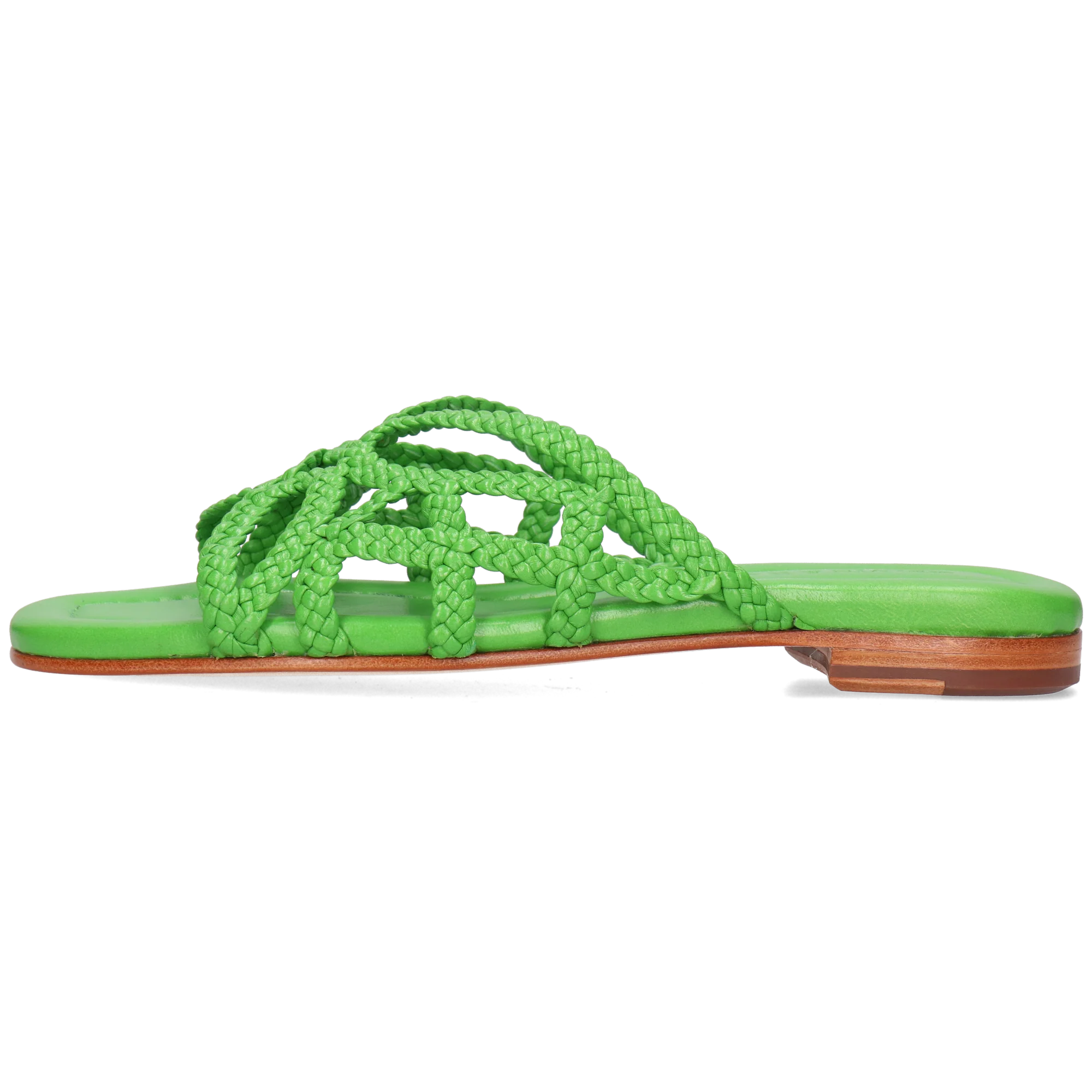 Elodie 64 – Bild 3